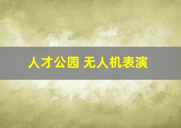 人才公园 无人机表演